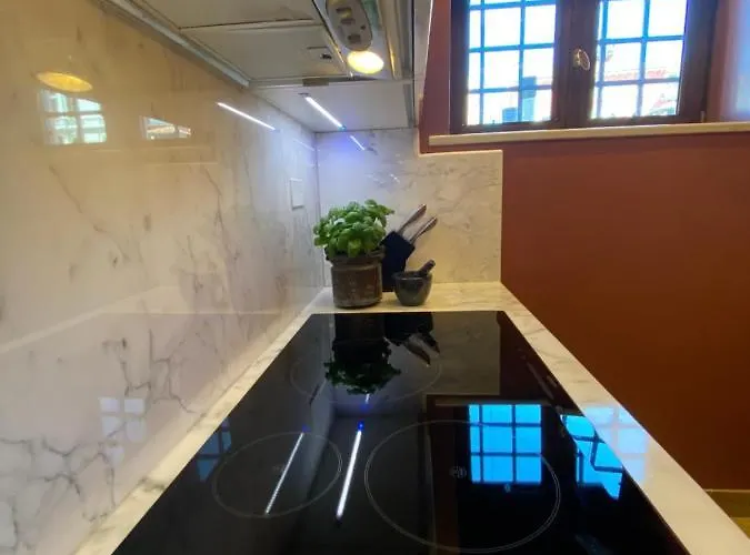 Dimora Contarini Charm On Grand Canal アパート ヴェネツィア